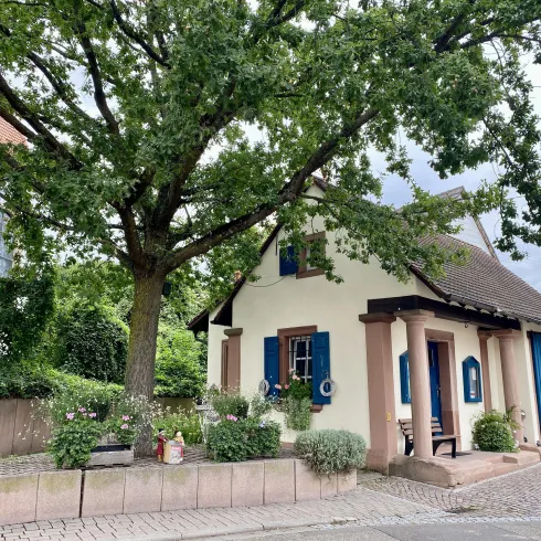 Ein charmantes Haus mit blauen Fensterläden und einer großen Eiche im Vorgarten. Umgeben von grünen Pflanzen und einem gepflasterten Weg.