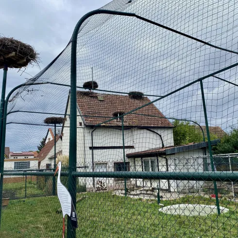 Storchenscheune Bornheim (3)