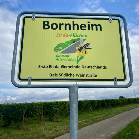 Ein Schild in Bornheim mit dem Hinweis auf „Eh da-Flächen“ für mehr Artenvielfalt. Im Hintergrund sind Weinberge und ein blauer Himmel zu sehen.