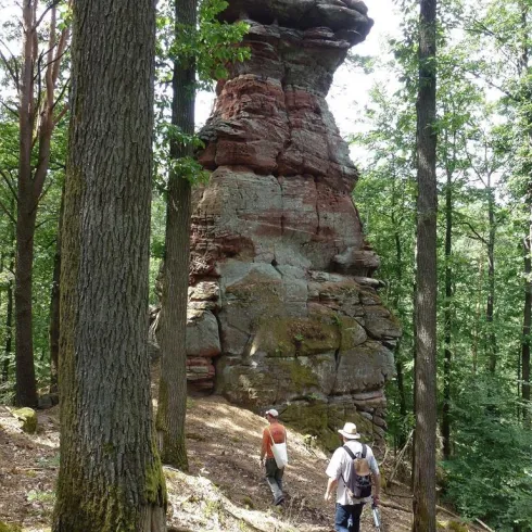 Eine beeindruckende Felsformation im Wald mit einer markanten, flachen Oberseite. Zwei Wanderer erkunden den malerischen Bereich um den Felsen.