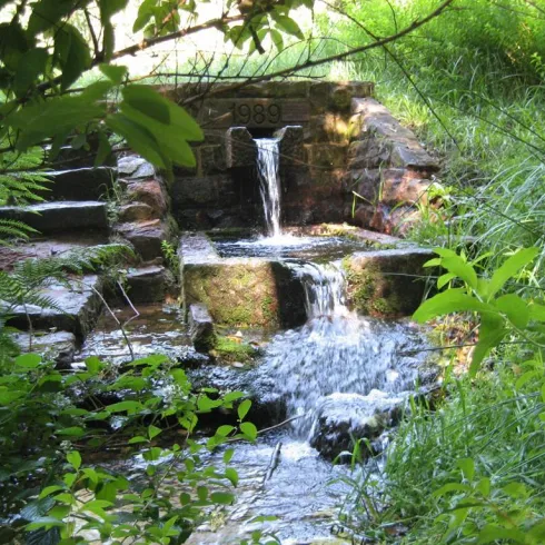 Ein kleiner Wasserfall fließt über steinerne Stufen, umgeben von üppigem Grün. Die Szene strahlt Ruhe und Natürlichkeit aus.