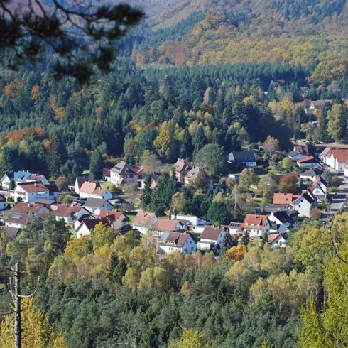 Blick vom Lindelskopf auf Ludwigswinkel (© Sebald Liesenfeld)