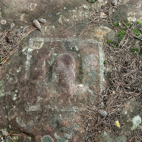 Ein Felsen mit einer eingravierten Darstellung, umgeben von Nadeln und kleinen Tannenzapfen. Die Oberfläche des Felsens zeigt eine raue Textur und natürliche Elemente.