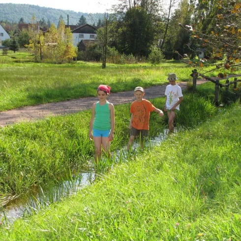 Drei Kinder spielen im Wasser eines kleinen Baches in einer grünen Wiese. Im Hintergrund sind einige Häuser und Bäume zu sehen.