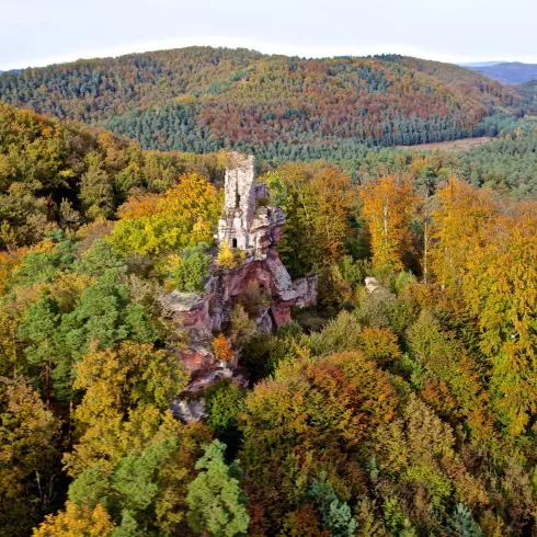 Burgruine Lützelhardt/F 1 (© Foto: Kurt Groß)