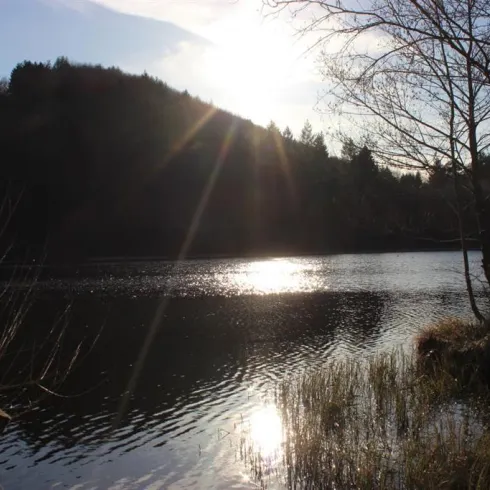 Schöntalw. (© Saskia Lauth)