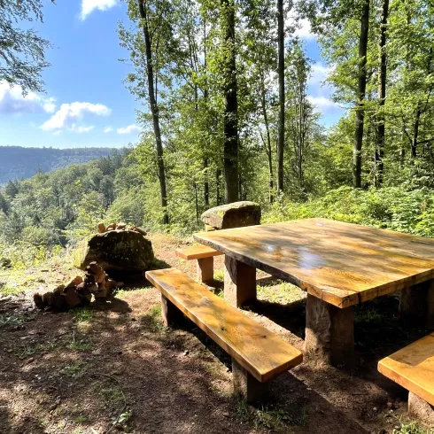 Ein Holzpicknicktisch im Wald, umgeben von Bäumen und einer schönen Aussicht auf das Tal. Der Himmel ist blau und klar.