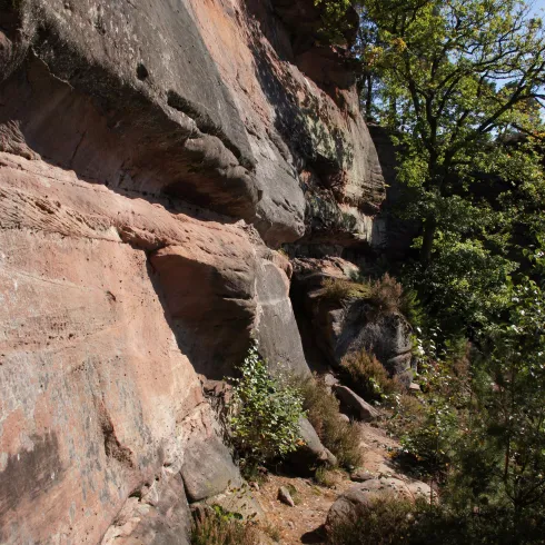 Deichenwand auf dem Wilgartswieser Biosphärenpfad