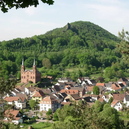 Blick auf Wilgartswiesen