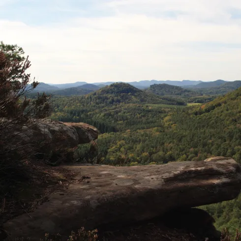 Blick vom Rötzenberg Blick vom Rötzenberg