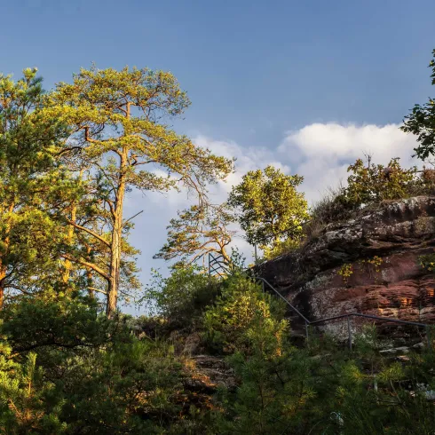 Felsengebilde, Rester einer Burg umgeben von Bäumen