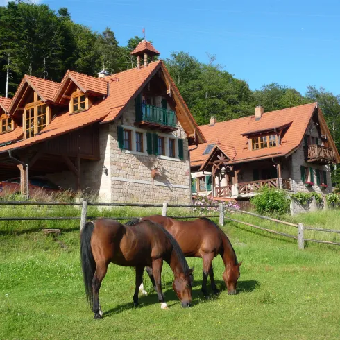 Links das Ferienhaus (© Bernd Herget)