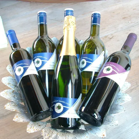 Eine Auswahl an Weinflaschen in einem dekorativen Korb. Darunter sind sowohl Weißwein als auch Sekt zu sehen.