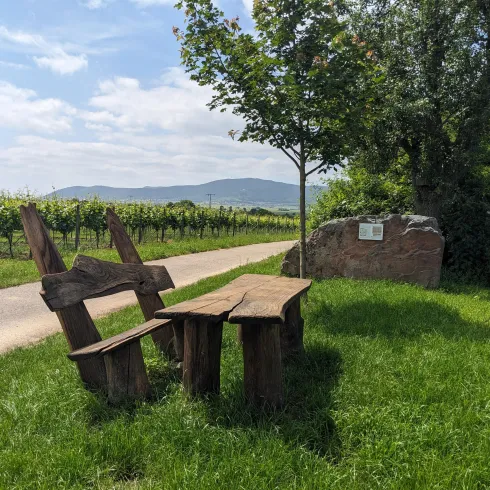 Eine rustikale Bank und ein Tisch aus Holz stehen auf einer grünen Wiese. Im Hintergrund sind Weinreben und sanfte Hügel zu sehen.
