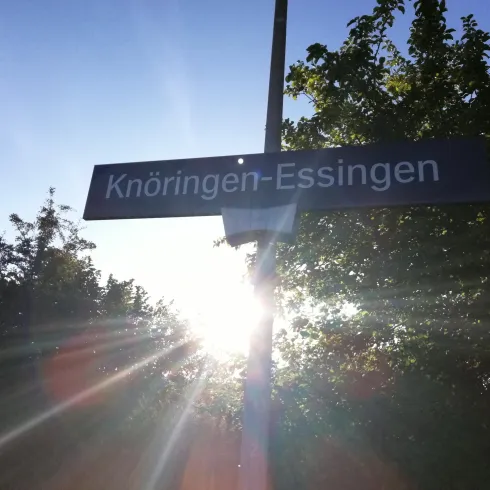 Ein Straßenschild mit der Aufschrift "Knöringen-Essingen" steht vor einem sonnigen Hintergrund. Die Sonne strahlt durch die Bäume und erzeugt eine helle Atmosphäre.