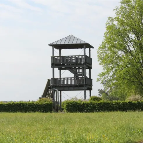 Ein Aussichtsturm in einer grünen Landschaft. Daneben steht ein großer Baum und im Hintergrund sind Sträucher zu sehen.