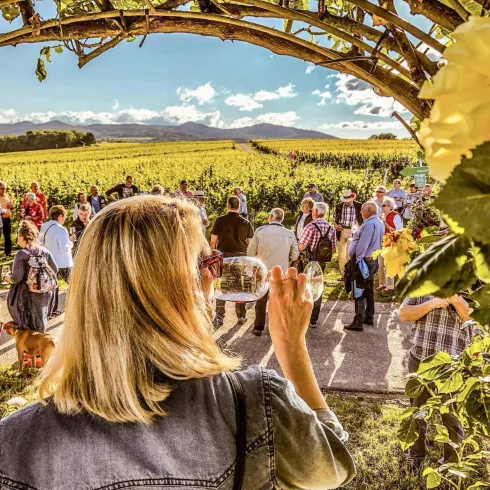 Eine Gruppe von Menschen steht in einem Weinberg. Eine Frau mit einem Glas Wein betrachtet die Umgebung unter einem blauen Himmel.