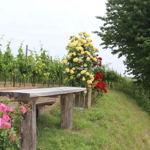 Ein malerischer Weinberg mit bunten Blumen und einem Holztisch. Die Umgebung ist grün und einladend, ideal für eine Pause in der Natur.