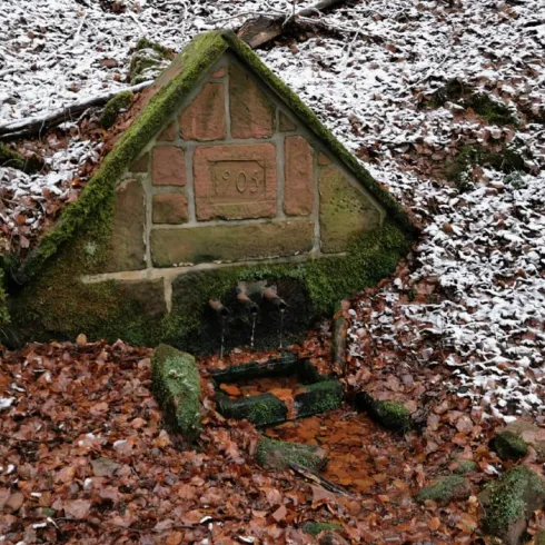 Eine kleine Quelle, umgeben von schneebedecktem Laub und Moos. Der Zugang zur Quelle ist mit Steinen und einer kleinen Mauer gestaltet.