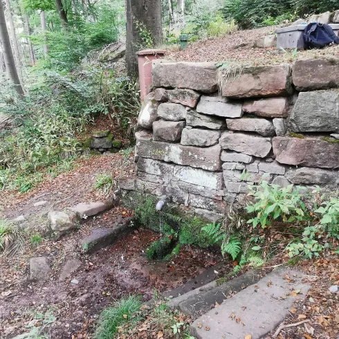 Eine alte Steinmauer in einem Wald, die eine Quelle zeigt. Umgeben von grünen Pflanzen und herbstlichem Laub.