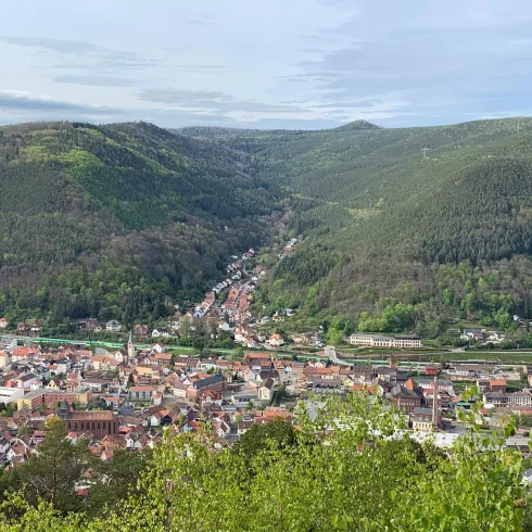 Eine malerische Stadt in einem Tal, umgeben von sanften Hügeln und Wald. Die Häuser sind dicht beieinander und der Himmel ist klar.