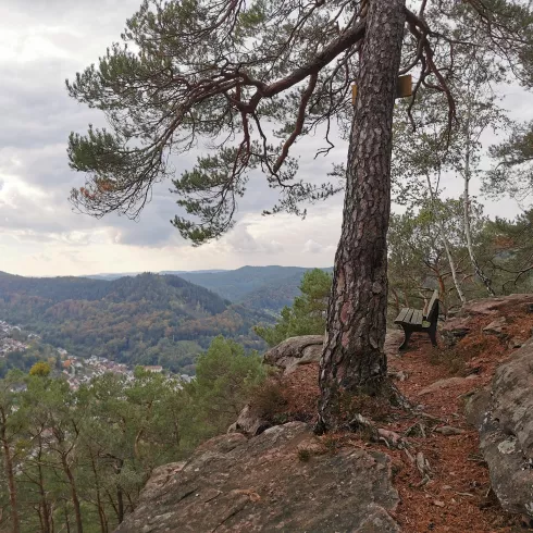 Alter Teufelsfelsen - Sitzbank - Weitsicht