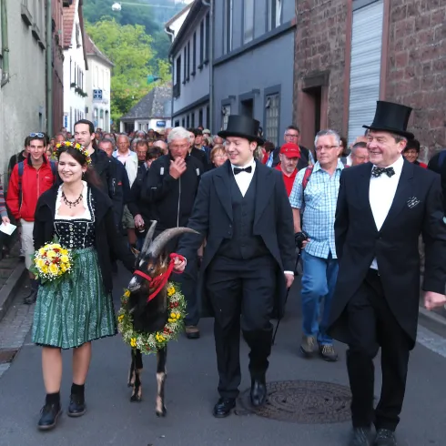 Eine Gruppe von Menschen marschiert durch eine enge Straße. Zwei Männer in Frack und eine Frau in traditioneller Tracht führen eine Ziege, die geschmückt ist.