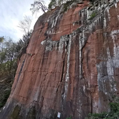 Eine beeindruckende Felswand mit rötlichem Gestein und einigen Bäumen. Die Struktur des Gesteins zeigt natürliche Erosionsspuren.