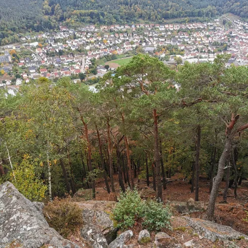 Teufelsfelsen-Aussicht