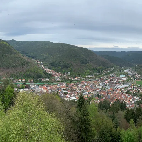 Eine panoramische Aussicht auf die Stadt Lambrecht (Pfalz), umgeben von Hügeln und Wäldern. Der Himmel ist bewölkt, und die Umgebung wirkt grün und einladend.