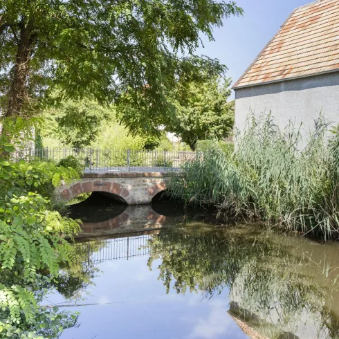 Weiher mit Brücke (© Stobbe)