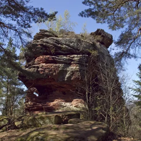 Falkenstein (© Trauthwein)