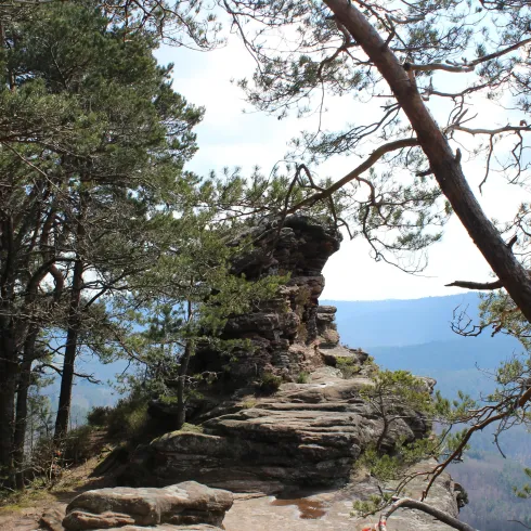 Rötzenfelsen (© S. Spieß)
