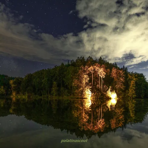 Sternenstumpfwald (© Palatinascout Volker Schledorn)