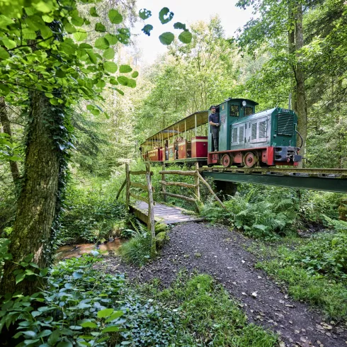 Eine kleine Bahn fährt über eine Holzbrücke im Wald. Umgeben von üppigem Grün und Bäumen, strahlt die Szene Ruhe und Naturverbundenheit aus.