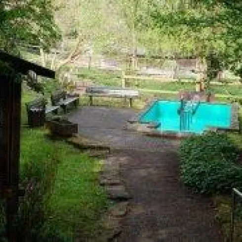Ein ruhiger Garten mit einem blauen Swimmingpool und vielen Bäumen. In der Nähe steht ein Holzschild mit Informationen.