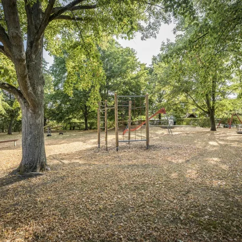 Ein ruhiger Park mit großen Bäumen und einem Spielplatz. Der Boden ist mit bunten Herbstblättern bedeckt.