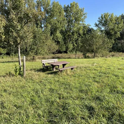 Picknickmöglichkeit direkt an der Weide
