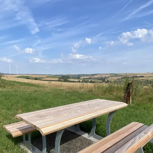 Picknickbank am Panoramarundweg Wartturm