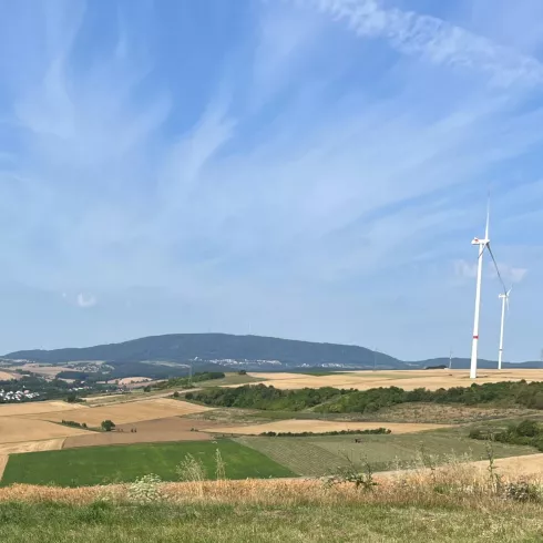 Panoramablick zum Donnersberg
