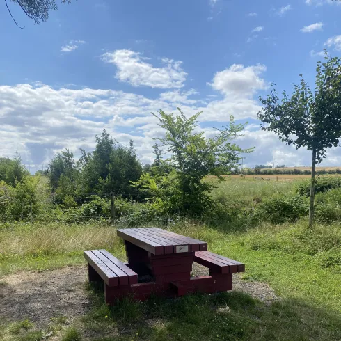 Ein roter Picknicktisch steht in einer grünen Wiese. Im Hintergrund sind Bäume und ein blauer Himmel mit einigen Wolken zu sehen.