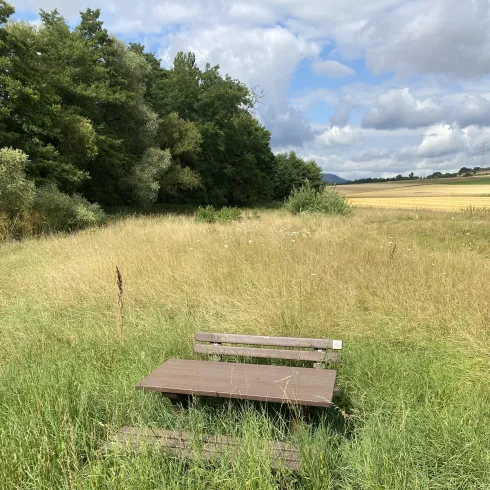 Ein ruhiger Platz im Freien mit einem Holztisch und Bänken, umgeben von hohen Gräsern. Im Hintergrund sind Bäume und ein weites Feld zu sehen.
