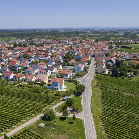Eine malerische Stadt mit bunten Häusern und Weinbergen. Die Umgebung ist grün und gut gepflegt.