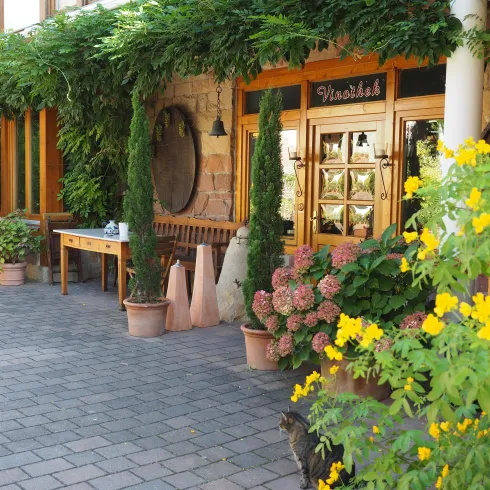 Weingut Hammel Eingang Vinothek (© TI Wachenheim)