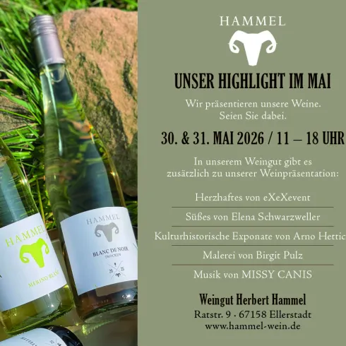 Eine Werbeanzeige für das Weingut Herbert Hammel, die das Veranstaltungshighlight im Mai präsentiert. Zu sehen sind Flaschen Weißwein und Informationen über die Eventzeiten sowie Angebote.