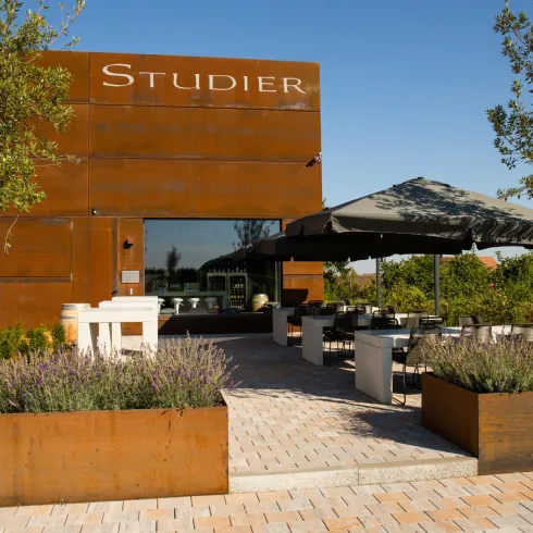 Weingut Studier (© TI Wachenheim)