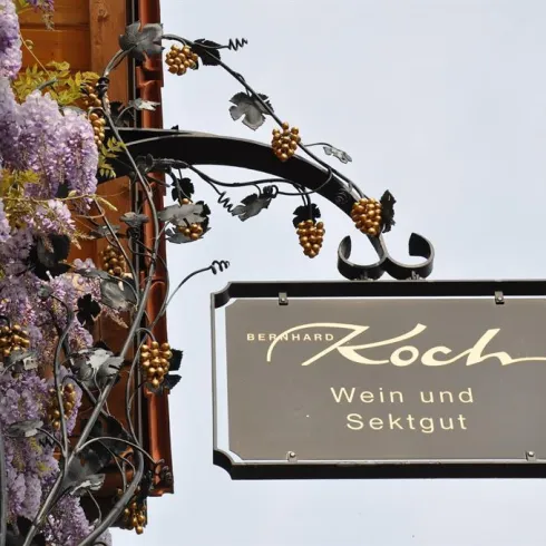 Ein Schild mit der Aufschrift „Bernhard Koch, Wein und Sektgut“. Umgeben von lila Blumen und Weintrauben.