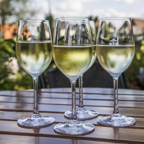 Vier Gläser mit Weißwein stehen auf einem Holztisch. Die Umgebung ist grün und einladend.