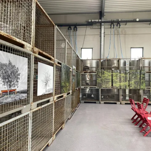 Ein Ausstellungsraum mit Kunstwerken an den Wänden. Rote Stühle stehen vor den Bildern in einem modernen, industriellen Ambiente.