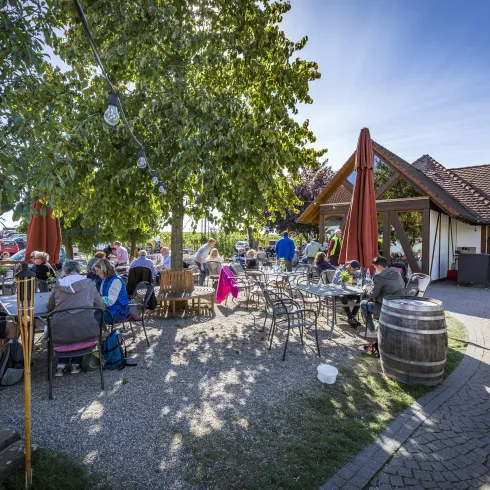 Ein einladender Außenbereich mit vielen Tischen und Stühlen unter Bäumen. Menschen genießen die Atmosphäre an einem sonnigen Tag.